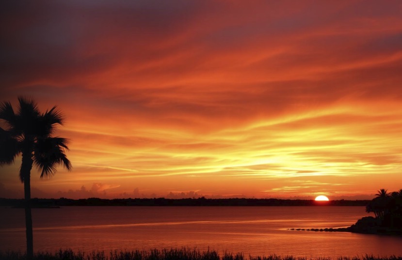 Sunset over a coastal bay with palm trees